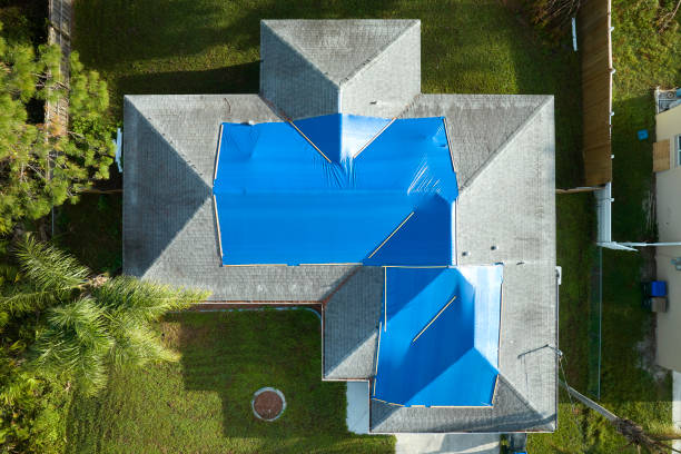 Best Roof Moss and Algae Removal  in Pleasant Gap, PA